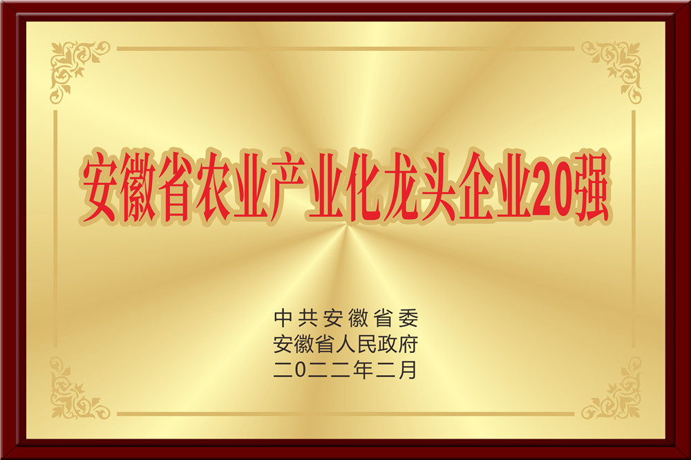 安徽省农业产业化龙头企业20强